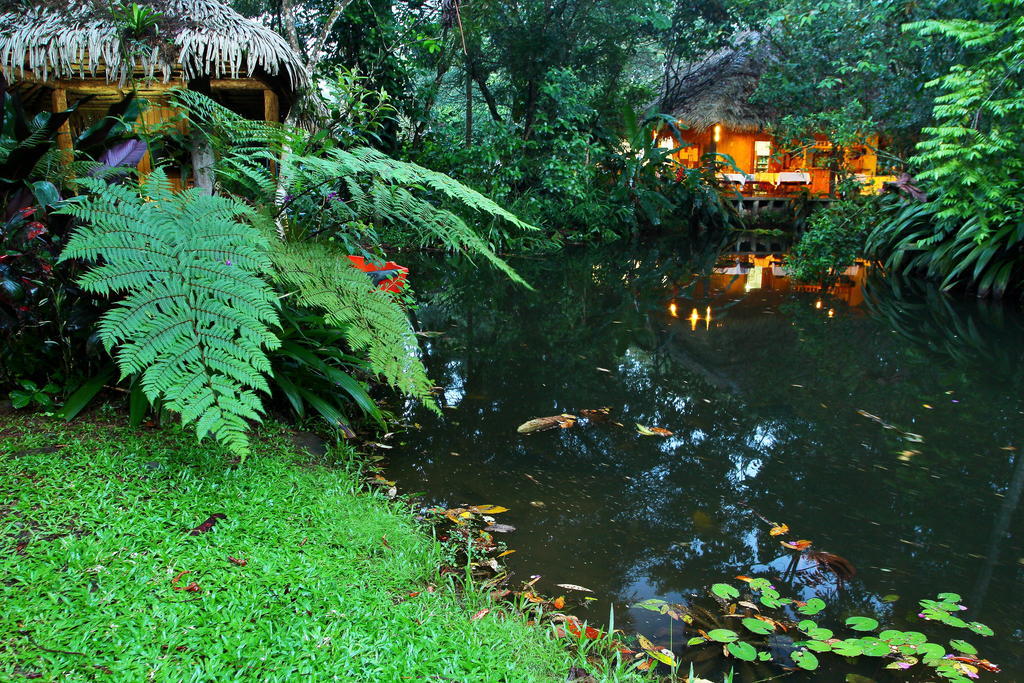 Hacienda La Isla Lodge Sarapiquí Exterior photo