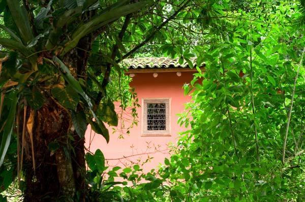 Hacienda La Isla Lodge Sarapiquí Exterior photo